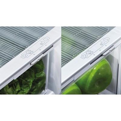 RF170BLPX6 - REFRIGERATORS - Fisher & Paykel - Bottom Freezer - Stainless Steel - Open Box - Image 7